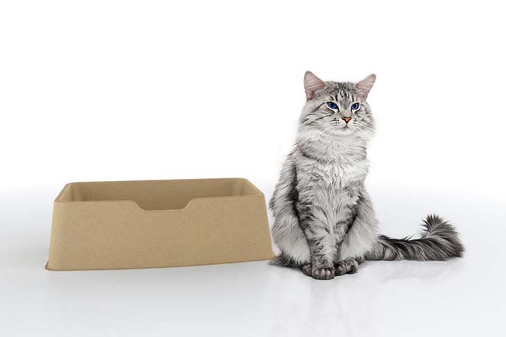 Choosing a litter tray for your cat