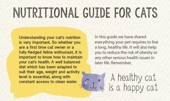 Nutritional Guide For Cats
