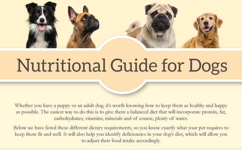 Nutritional Guide for Dogs
