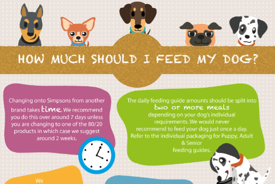 How much should I feed my dog?