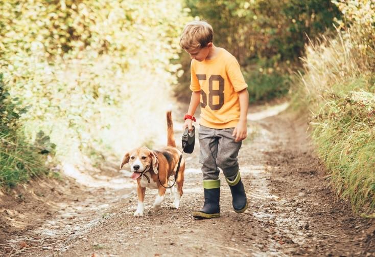 Socialising: Dogs and Children