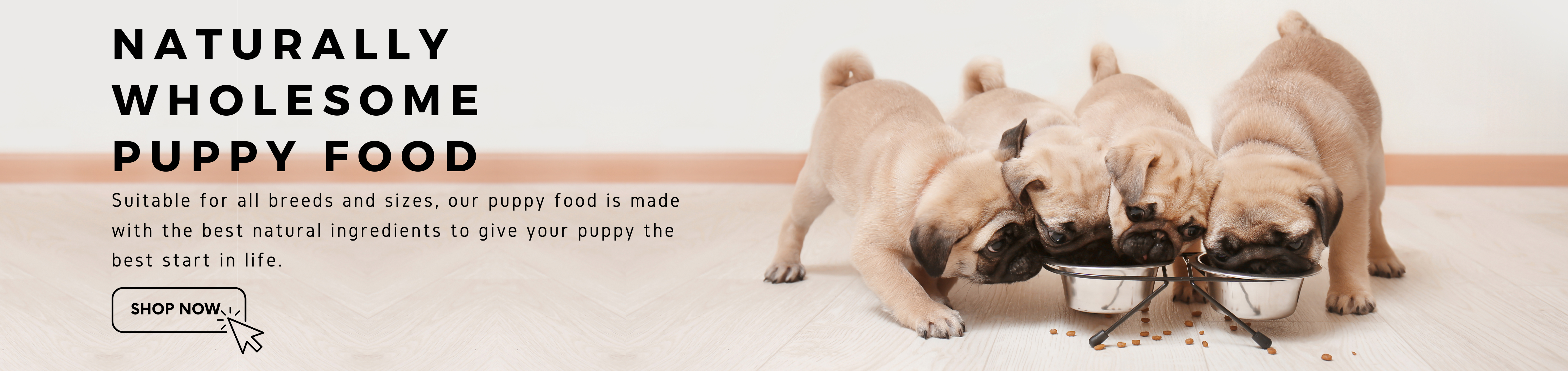 Simpsons dog food salmon and potato hot sale